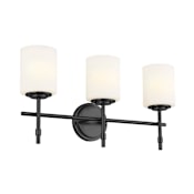 Kichler Ali 3 Light 23" Wide Vanity Light with Frosted Glass Shades Black
