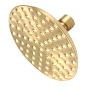 Kingston Brass Victorian 1.8 GPM Single Function Rain Shower Head Brushed Brass