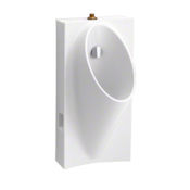 Kohler Steward High Efficiency Urinal with Top Spud White