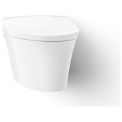Kohler Veil One-Piece Elongated Dual-Flush Smart Toilet with Stainless Steel Wand that Offers Adjustable Spray Shape, Position, Water Pressure, Temperature, Pulsate, and Oscillate Functions White
