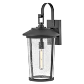 Lark Banks 1 Light 22" Tall Outdoor Wall Sconce Black