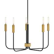 Lark Austen 5 Light 29" Wide Candle Style Chandelier Black