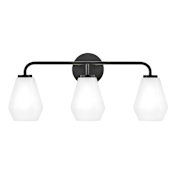 Lark Gio 3 Light 24" Wide Vanity Light with Cased Opal Glass Shades Black