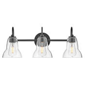 Lark Vera 3 Light 24" Wide Vanity Light with Clear Glass Shades Black