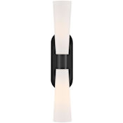 Lark Beau 2 Light 24" Tall Bath Bar with Etched Glass Shades Black