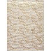 Lavin Rugs Sachin 6-1/2' x 6-1/2' Geometric Indoor Rectangular Area Rug Brown