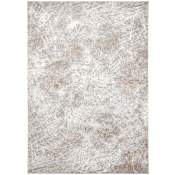 Lavin Rugs Dalia 9-3/4' x 13-1/4' Abstract Indoor Rectangular Area Rug Gray