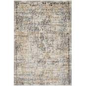 Lavin Rugs Zaria 9-3/4' x 13-1/4' Abstract Indoor Rectangular Area Rug Gray / Gold