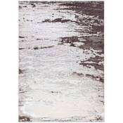 Lavin Rugs Ayda 7-3/4' x 10-3/4' Abstract Indoor Rectangular Area Rug Gray