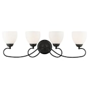 Livex Lighting Brookside Bathroom Vanity Bar with 4 Lights Black