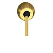 Matthews Fan Company 6" Wide Ceiling Mount Canopy Brushed Brass