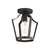 Maxim Arden 10" Wide Semi-Flush Ceiling Fixture Black