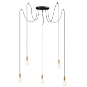 Maxim Early Electric 5 Light 13-3/4" Wide Suspension Multi Light Pendant Black / Antique Brass