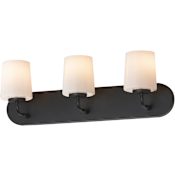Maxim Durham 3 Light 24" Wide Bath Vanity Light Black