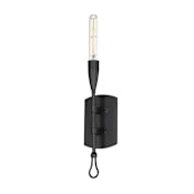 Maxim Pioneer 16" Tall Wall Sconce Anthracite