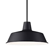 Maxim Pier M 14" Wide Pendant Black