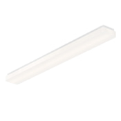 Maxim Cloud 48" Wide LED Flush Mount Ceiling Fixture White