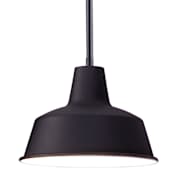Maxim Pier M Single Light 8-1/4" Wide Outdoor Warehouse Pendant Black