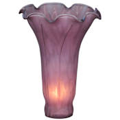 Meyda Tiffany Stained Glass / Tiffany Glass Shade N/A