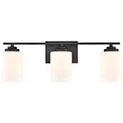 Millennium Lighting Durham 3 Light 22" Wide Bathroom Vanity Light Matte Black