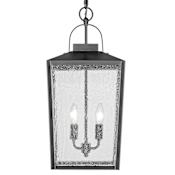 Millennium Lighting Devens 2 Light 10" Wide Outdoor Pendant Powder Coat Black