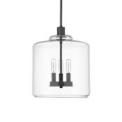 Millennium Lighting Asheville 3 Light 12" Wide Pendant Matte Black