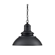 Millennium Lighting Adda 14" Wide Outdoor Pendant Powder Coated Black