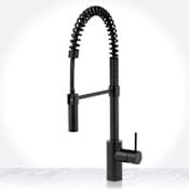 Miseno Mia 1.8 GPM Pre-Rinse Pulldown Kitchen Faucet - Includes Optional Deck Plate Flat Black