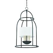 Mitzi Delia 4 Light 17" Wide Pendant Aged Iron