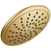 Moen Moen 2.5 GPM Single Function Rain Shower Head Brushed Gold