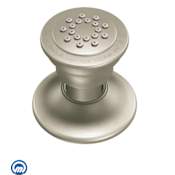 Moen Adjustable Body Spray Brushed Nickel