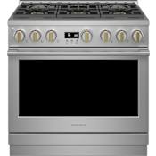 Monogram 36 Inch Wide 5.75 Cu. Ft. Dual Fuel Professional Range with 6 Burners and Convection Oven Stainless Steel