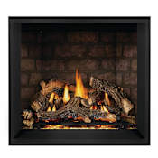 Napoleon Elevation 36 Direct Vent 37,000 BTU Natural Gas Built In Fireplace Black