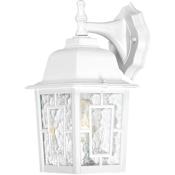 Nuvo Lighting Banyan Single Light 12-1/4" Tall Outdoor Wall Sconce with Water Glass Shade - ADA Compliant White