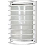 Nuvo Lighting Single Light 10" Tall Outdoor Wall Sconce with Patterned Glass Shade Semi Gloss White