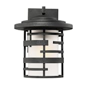 Nuvo Lighting Lansing Single Light 12" Tall Outdoor Wall Sconce with an Etched Glass Shade Textured Black