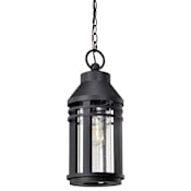 Nuvo Lighting Wilton 9" Wide Outdoor Mini Pendant Matte Black