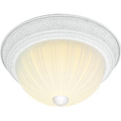 Nuvo Lighting 2 Light 11-1/4" Wide Flush Mount Bowl Ceiling Fixture Textured White