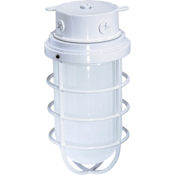 Nuvo Lighting Single Light 5-1/2" Wide Outdoor Flush Mount Ceiling Fixture White