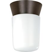 Nuvo Lighting Single Light 4-1/4" Wide Outdoor Semi-Flush Ceiling Fixture with Frosted Glass Shade Bronzotic