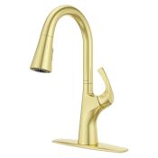 Pfister Talega 1.8 GPM Single Hole Pull Down Kitchen Faucet - Includes Escutcheon Brushed Gold