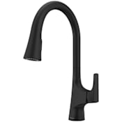 Pfister Norden 1.8 GPM Single Hole Pull Down Kitchen Faucet Matte Black