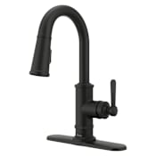 Pfister Port Haven 1.8 GPM Single Hole Pull Down Bar Faucet Spot Defense Matte Black