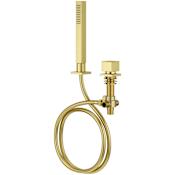 Pfister Verve 1.8 GPM Single Function Roman Hand Shower with Hose and Diverter Handle - Less Valve Brushed Gold