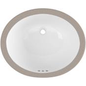 PROFLO Comstock 17" Oval Vitreous China Undermount Bathroom Sink with Overflow White