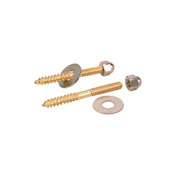 PROFLO Brass Closet Screws N/A