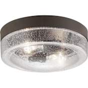 Progress Lighting Weldon 2 Light 11" Wide Outdoor Flush Mount Drum Ceiling Fixture Architectural Bronze