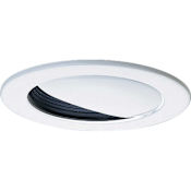 Progress Lighting 4" Wall Wash Trim for PAR16, PAR20, or R20 Lamps Black