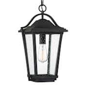 Quoizel Darius Single Light 11" Wide Outdoor Pendant Earth Black