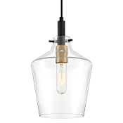Quoizel June Single Light 8" Wide Mini Pendant Earth Black